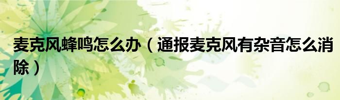 麦克风蜂鸣怎么办(通报麦克风有杂音怎么消除)