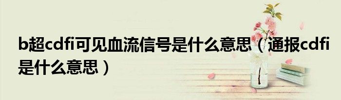 b超cdfi可见血流信号是什么意思(通报cdfi是什么意思)