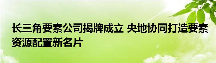 长三角要素公司揭牌成立 央地协同打造要素资源配置新名片