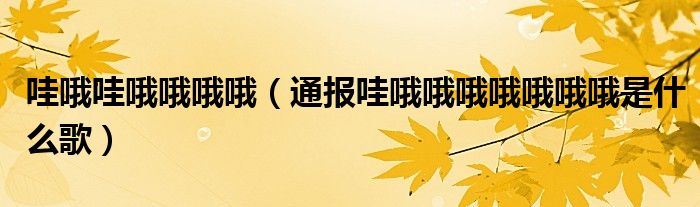 哇哦哇哦哦哦哦(通报哇哦哦哦哦哦哦哦是什么歌)