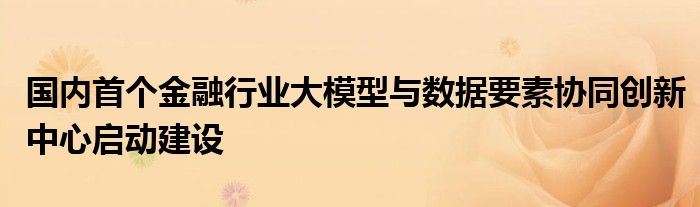 国内首个金融行业大模型与数据要素协同创新中心启动建设
