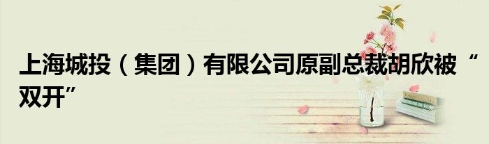 上海城投(集团)有限公司原副总裁胡欣被“双开”