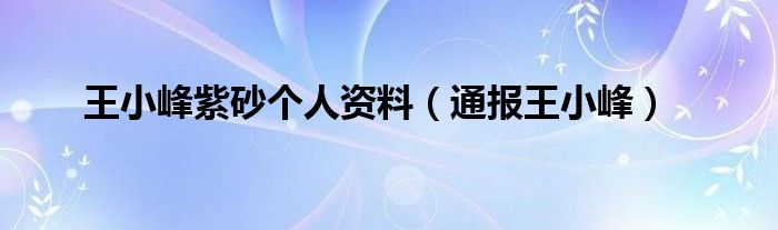 王小峰紫砂个人资料(通报王小峰)
