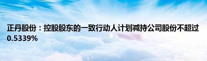正丹股份:控股股东的一致行动人计划减持公司股份不超过0.5339%