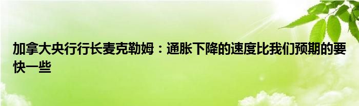 加拿大央行行长麦克勒姆:通胀下降的速度比我们预期的要快一些