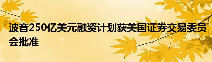 波音250亿美元融资计划获美国证券交易委员会批准