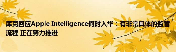 库克回应Apple Intelligence何时入华:有非常具体的监管流程 正在努力推进