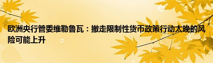 欧洲央行管委维勒鲁瓦:撤走限制性货币政策行动太晚的风险可能上升