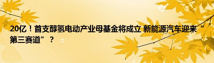 20亿!首支醇氢电动产业母基金将成立 新能源汽车迎来“第三赛道”?
