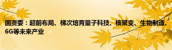 国资委:超前布局、梯次培育量子科技、核聚变、生物制造、6G等未来产业