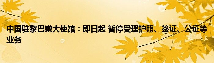 中国驻黎巴嫩大使馆:即日起 暂停受理护照、签证、公证等业务
