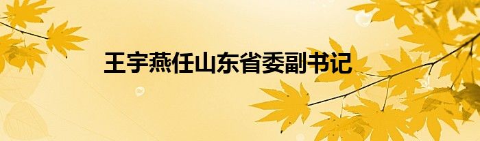 王宇燕任山东省委副书记