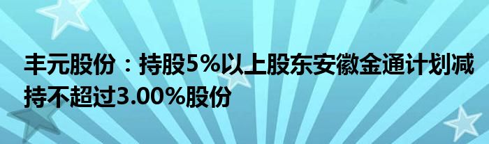 丰元股份:持股5%以上股东安徽金通计划减持不超过3.00%股份