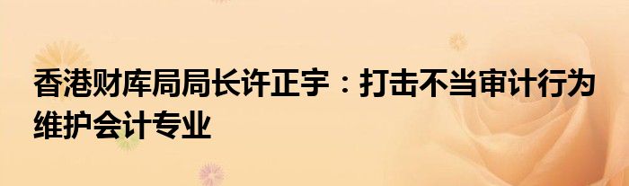香港财库局局长许正宇:打击不当审计行为 维护会计专业
