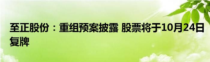 至正股份:重组预案披露 股票将于10月24日复牌