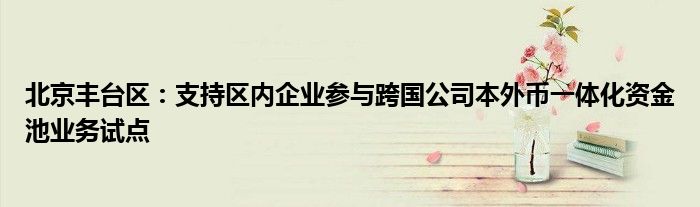 北京丰台区:支持区内企业参与跨国公司本外币一体化资金池业务试点