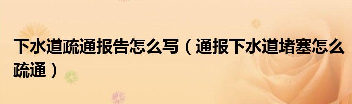下水道疏通报告怎么写(通报下水道堵塞怎么疏通)