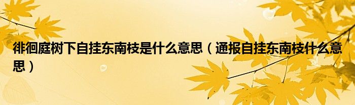 徘徊庭树下自挂东南枝是什么意思(通报自挂东南枝什么意思)