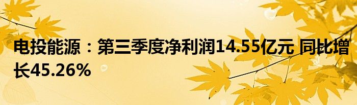 电投能源:第三季度净利润14.55亿元 同比增长45.26%