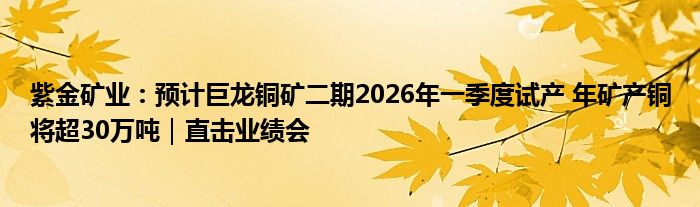 紫金矿业:预计巨龙铜矿二期2026年一季度试产 年矿产铜将超30万吨|直击业绩会