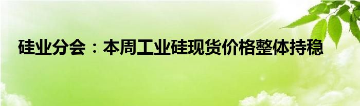 硅业分会:本周工业硅现货价格整体持稳