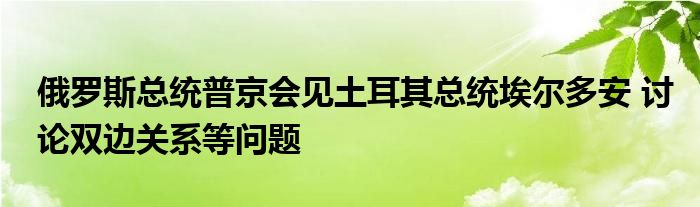 俄罗斯总统普京会见土耳其总统埃尔多安 讨论双边关系等问题