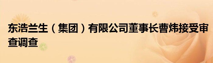 东浩兰生(集团)有限公司董事长曹炜接受审查调查