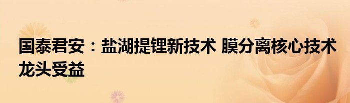 国泰君安:盐湖提锂新技术 膜分离核心技术龙头受益