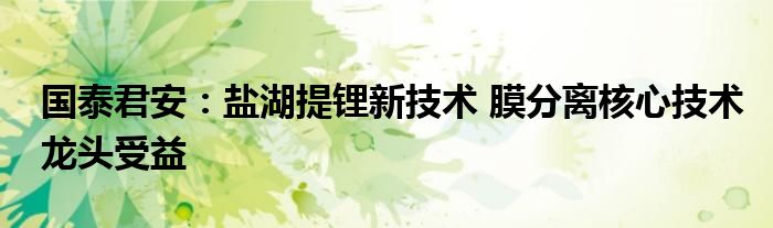 国泰君安:盐湖提锂新技术 膜分离核心技术龙头受益