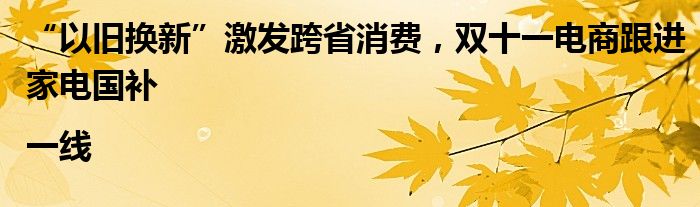 “以旧换新”激发跨省消费,双十一电商跟进家电国补|一线