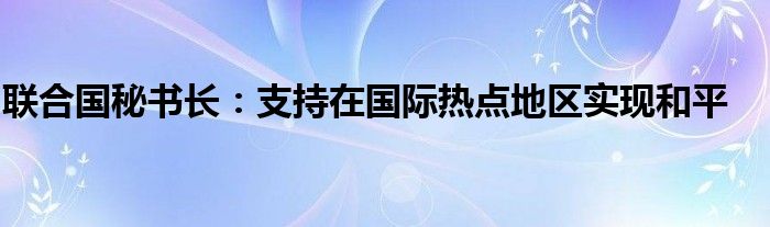 联合国秘书长:支持在国际热点地区实现和平