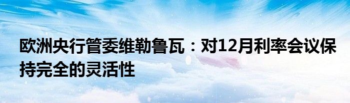 欧洲央行管委维勒鲁瓦:对12月利率会议保持完全的灵活性