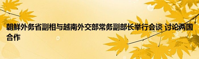 朝鲜外务省副相与越南外交部常务副部长举行会谈 讨论两国合作
