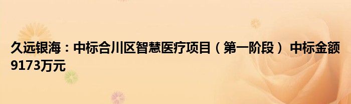久远银海:中标合川区智慧医疗项目(第一阶段) 中标金额9173万元