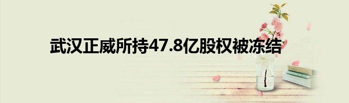 武汉正威所持47.8亿股权被冻结
