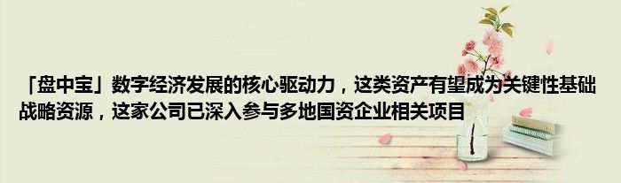 「盘中宝」数字经济发展的核心驱动力,这类资产有望成为关键性基础战略资源,这家公司已深入参与多地国资企业相关项目