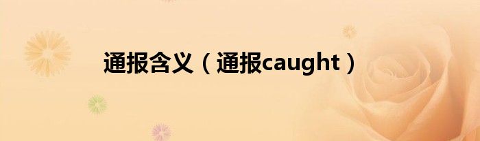 通报含义(通报caught)