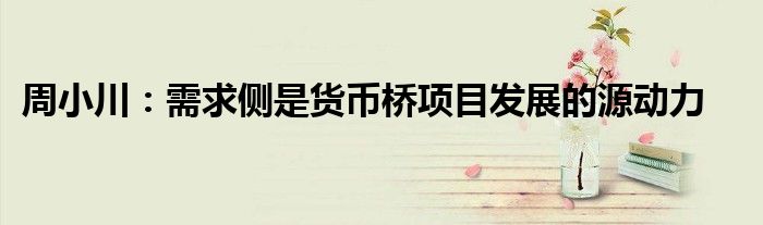周小川:需求侧是货币桥项目发展的源动力