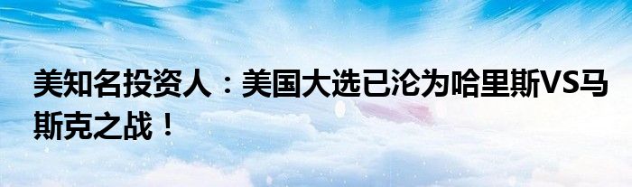 美知名投资人:美国大选已沦为哈里斯VS马斯克之战!