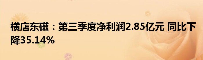 横店东磁:第三季度净利润2.85亿元 同比下降35.14%