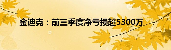 金迪克:前三季度净亏损超5300万
