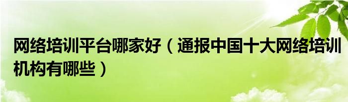 网络培训平台哪家好(通报中国十大网络培训机构有哪些)