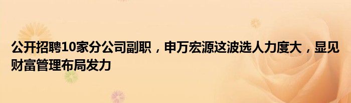 公开招聘10家分公司副职,申万宏源这波选人力度大,显见财富管理布局发力