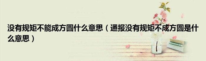 没有规矩不能成方圆什么意思(通报没有规矩不成方圆是什么意思)