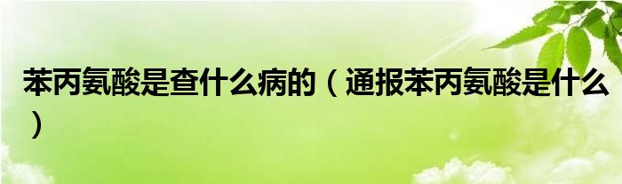 苯丙氨酸是查什么病的(通报苯丙氨酸是什么)
