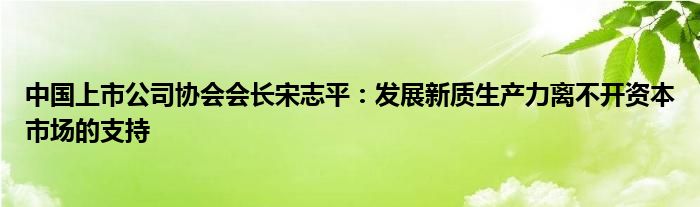 中国上市公司协会会长宋志平:发展新质生产力离不开资本市场的支持