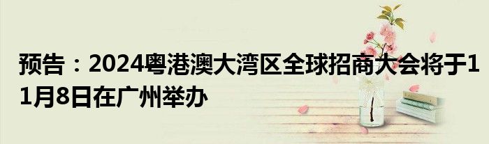 预告:2024粤港澳大湾区全球招商大会将于11月8日在广州举办