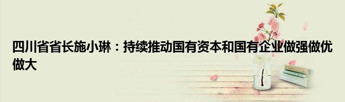 四川省省长施小琳:持续推动国有资本和国有企业做强做优做大