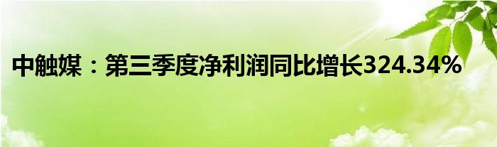 中触媒:第三季度净利润同比增长324.34%