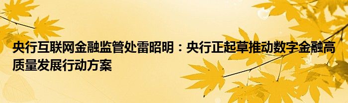 央行互联网金融监管处雷昭明:央行正起草推动数字金融高质量发展行动方案